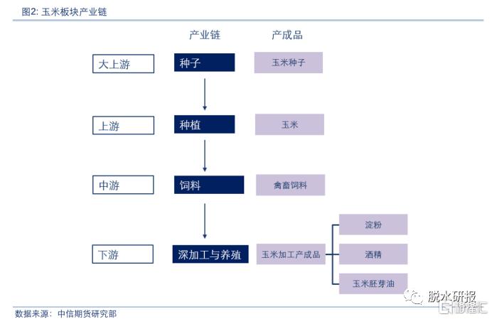 先导指标创7年新低，玉米价格暴走了