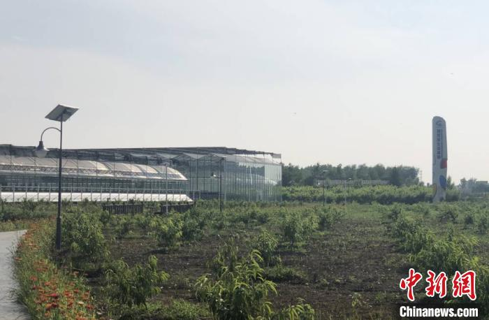 位于204国道边的潮河湾生态果园。　于从文 摄