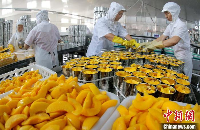 工人们正在加工黄桃罐头。　王健民 摄