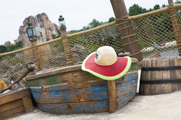 图说：采访对象供图（下同）