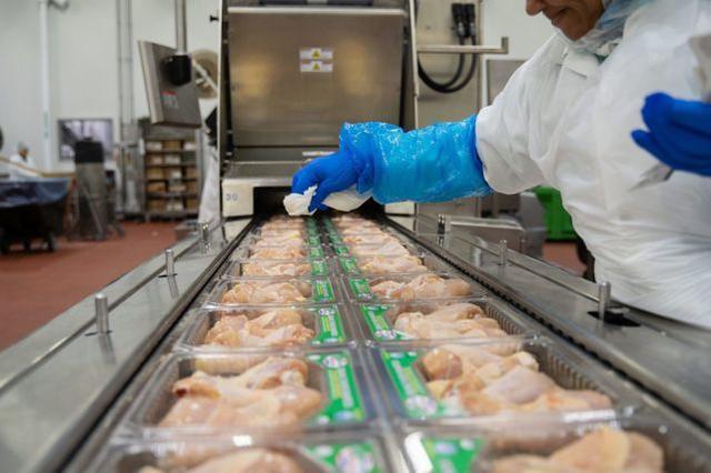 美国疾控中心：肉禽加工厂成疫情热点，感染者中近9成是少数族裔
