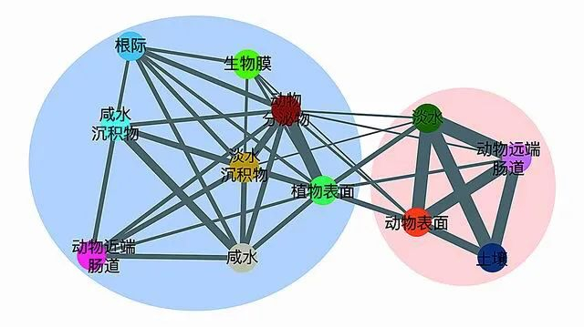 地球微生物组的互联特征/课题组供图