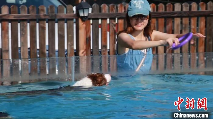 王女士与她饲养的边牧“麋鹿”一起玩耍。　徐明睿 摄