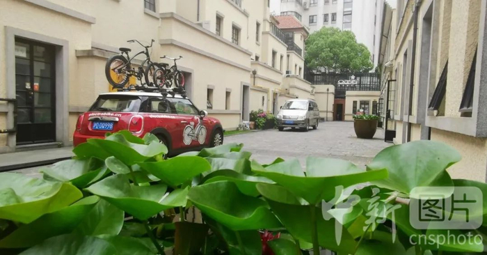 图为衡山坊内景 中新社 潘索菲 摄
