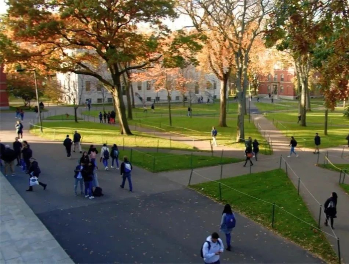 　▲图片来源：新京报网&nbsp;