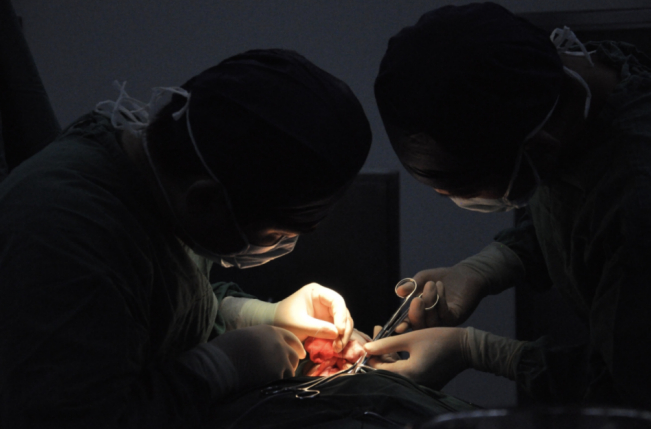 图文无关，龚静蓉/摄