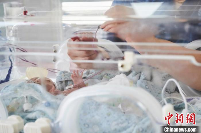 搬家中，最小的宝宝是一个早产儿，只有510克重，浑身带着好几根管子。新华医院供图