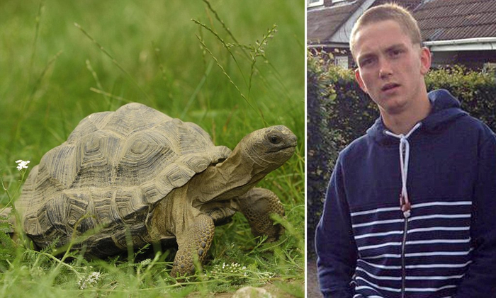  亚达伯拉象龟（左）亚当·斯蒂夫（右）daily mail&nbsp;图