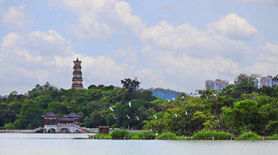 　　惠州西湖。罗询/摄