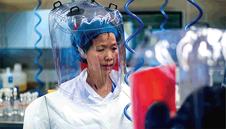 武汉病毒所研究员石正丽