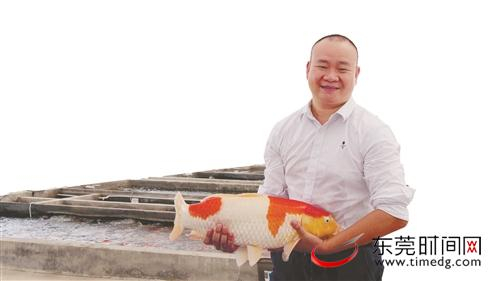 ■何洪桂在家乡创办锦鲤养殖场，目前已实现规模化养殖，并带动农户致富