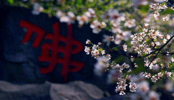 古佛山 荣昌微发布供图