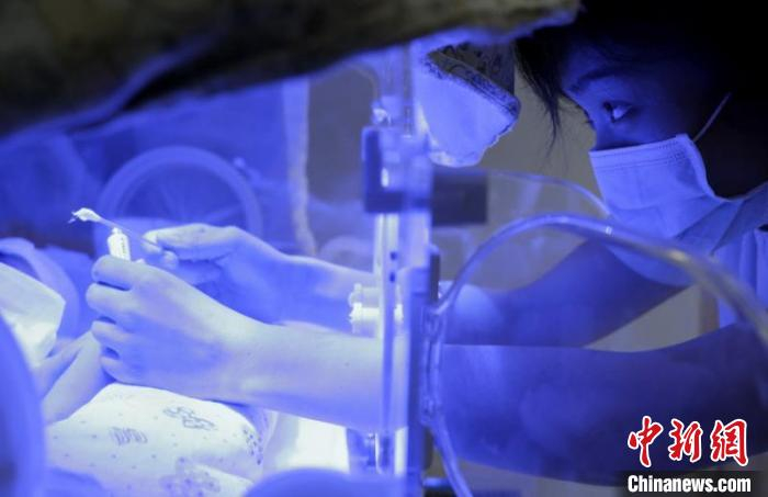 早产儿由于机体器官系统发育未成熟，可发生呼吸窘迫综合征、支气管肺发育不良及早产儿视网膜病等多种严重疾病。儿科医院供图