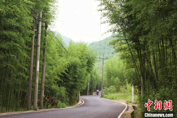 资料图：杭州余杭乡村。　王怡旻 摄