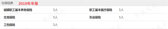 （华炜纺织品 2019年年报参保人数仅为1人，来源：天眼查）