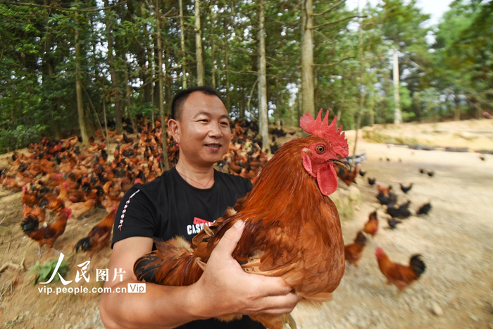 黔东南供销社：助力乡村振兴的新动力