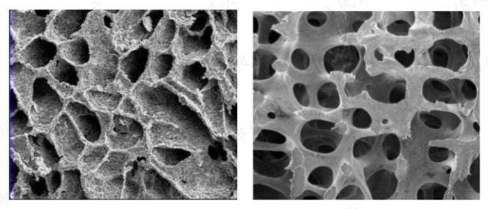 （奥精医疗的“骼金”【左图】与天然骨小梁【右图】具有类似的微观孔状结构。图片来源：招股说明书）