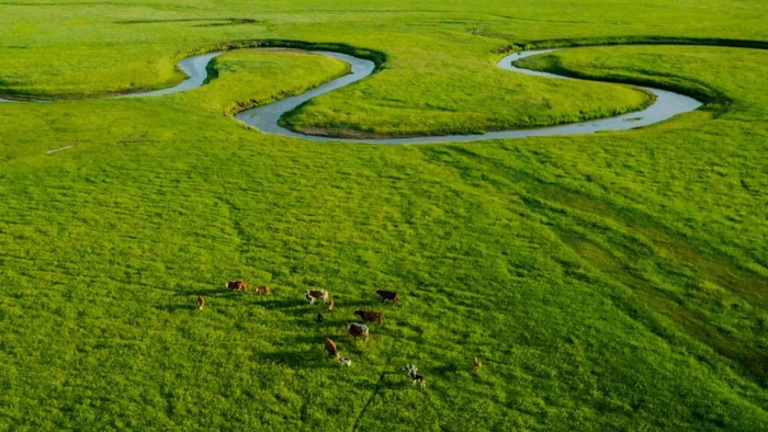 草原美景 图：内蒙古日报微信公众号