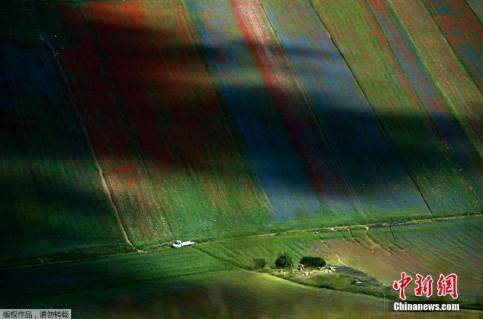 当地时间7月6日，意大利翁布里亚地区Castelluccio村，乡村田间繁花盛开。