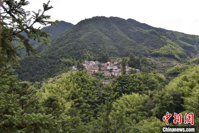 浙江丽水松阳四都乡传统村落 范宇斌 摄