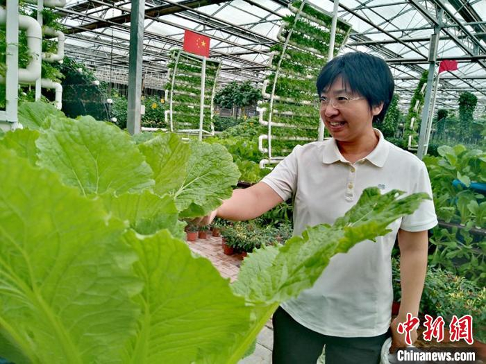 王健君查看高新无土栽培区里种植的蔬菜 高龙安 摄