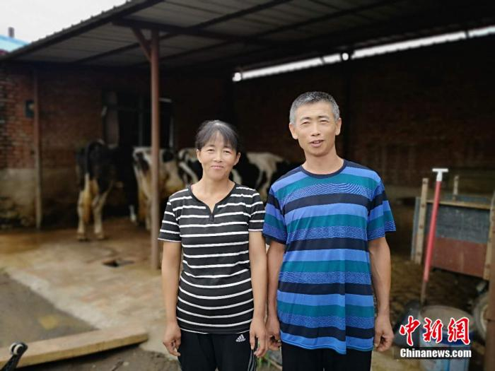 牛丽艳和丈夫张国才在自家牛棚前 郎朗 摄