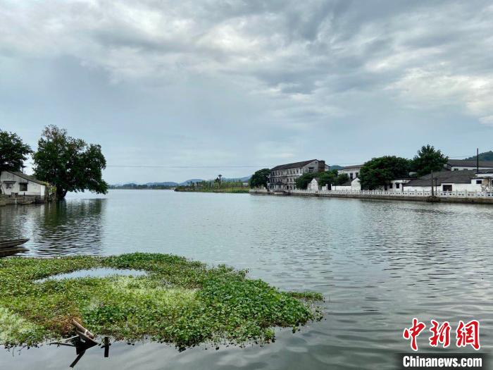 从西跨湖桥眺望鉴湖水。　项菁 摄