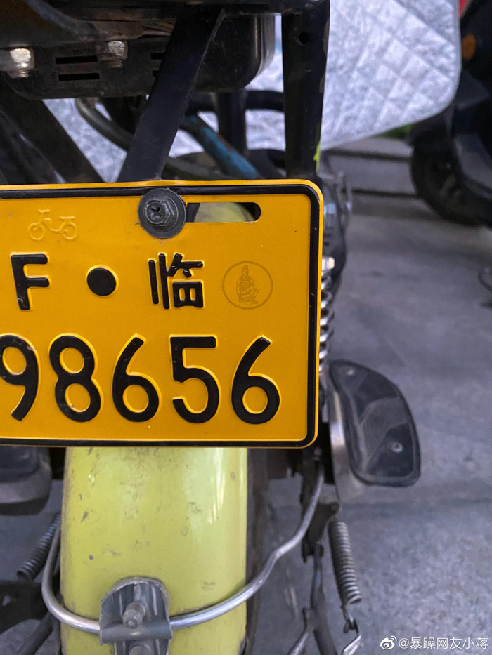 电动车牌上的兵马俑标识