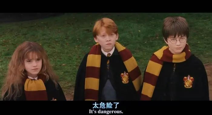 电影《哈利·波特与魔法石》截图。