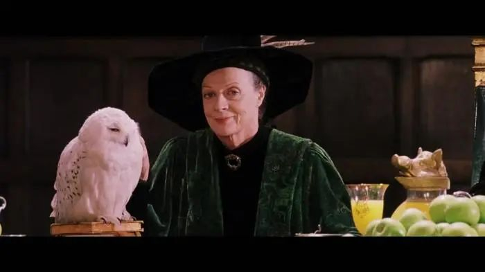 电影《哈利·波特与魔法石》截图。