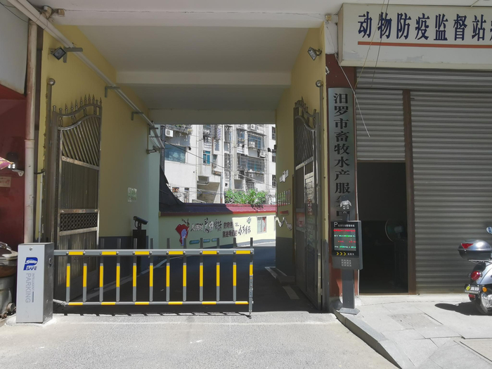 2018年接到举报后，汨罗市畜牧水产局饲料工业办公室对沙门氏菌感染案进行立案审查。澎湃新闻记者 温潇潇 图