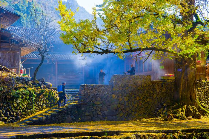 　　垃圾、污水、公厕“三大革命”让永嘉县众多农村美如画 新华网发 永嘉县委宣传部供图