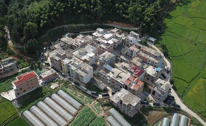  8月16日，距离厚坊村不远的东陂湾碑山一带，车辆排起长队。新京报记者王飞摄。