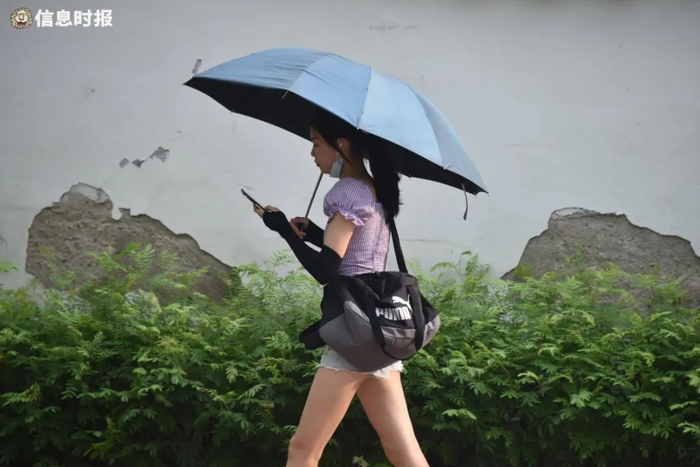 天气资料图。信息时报记者 叶伟报 摄