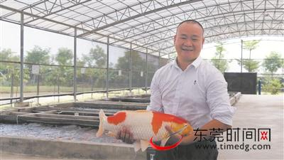 ▲广东俊一锦鲤养殖有限公司董事长何洪桂 本版图片均由通讯员 徐艳阳 提供