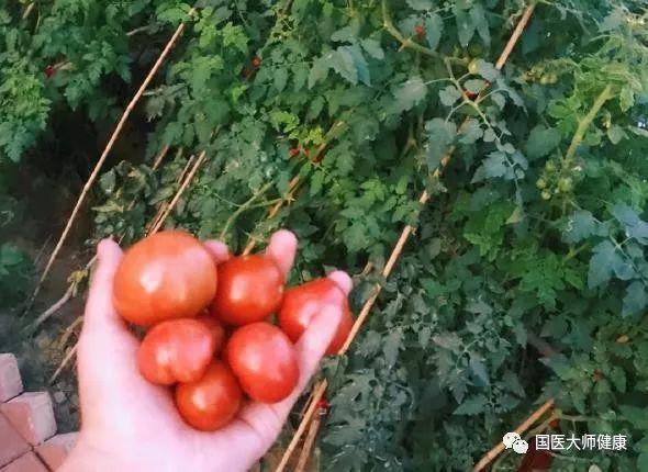 3块钱一斤的它,堪称“植物黄金”,是癌细胞和血栓的死对头!夏天吃最合适