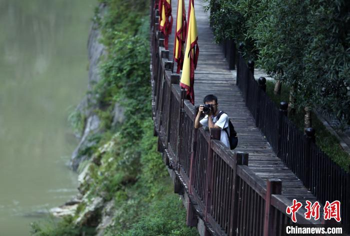 明月峡古栈道。　王磊 摄