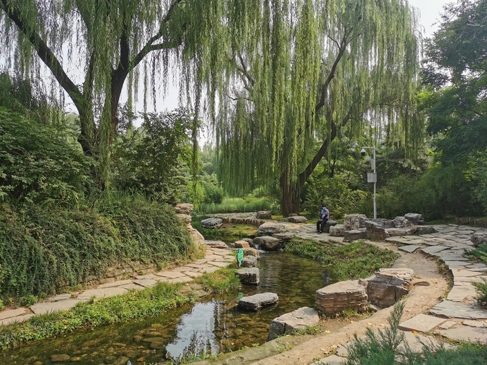 溪流景观处增设警示牌，附近有专人值守。新京报记者 摄