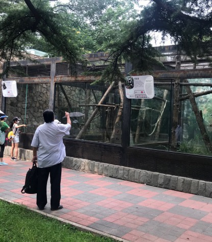 一名游客向青长尾猴投掷食物。新京报记者摄