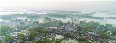  黄河岸边是我家 陈祥春摄