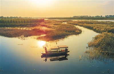  黄河故道美如画 孙 宁摄