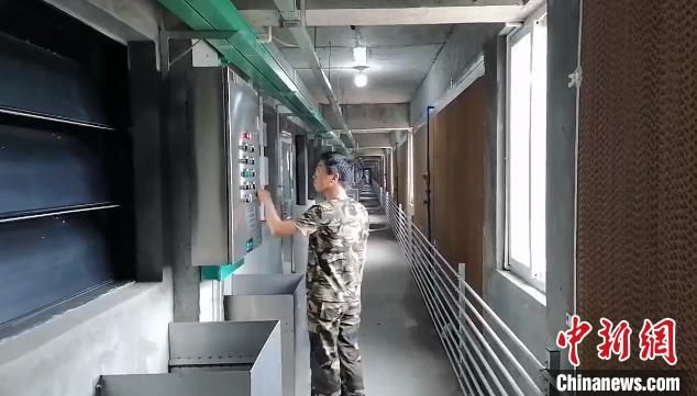 “养猪大楼”场长陈军正在检查设备运转情况。四川省农业农村厅供图