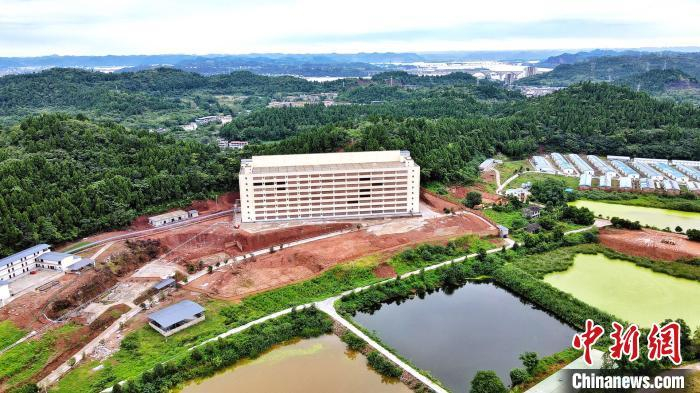 矗立在山水田园之间的“养猪大楼”。四川省农业农村厅供图