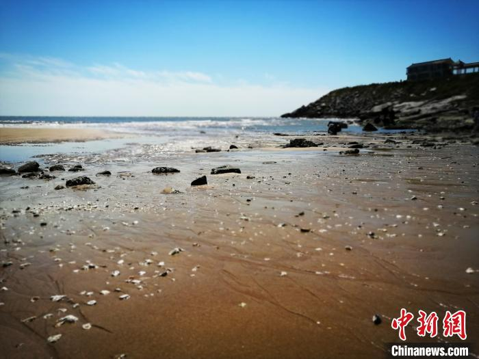 觉华岛滩涂景观。　李晛 摄