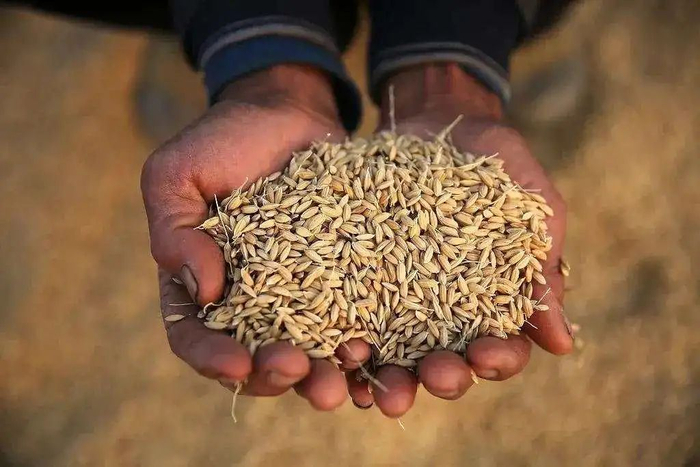 图片来源：视觉中国