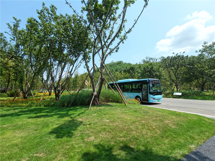 为方便游客游玩，岛内开通了纯电动接驳车。朱林国 摄