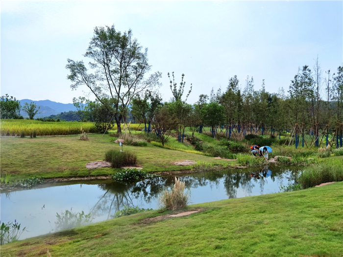 广阳岛美景。朱林国 摄