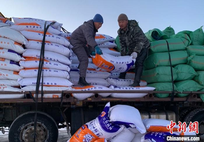 图为都木达锡合作社集中购买牛饲料。受访者供图