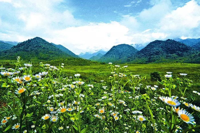 雪宝山 图：开州发布