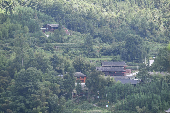 2020年8月3日，树林掩映中的枫香河。自民居改造以来，村民老旧的吊脚楼大部分改换容颜，成了“山间别墅”。新京报记者 王颖 摄